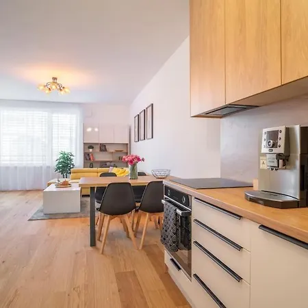 Moderny Pod Hradom Apartment *